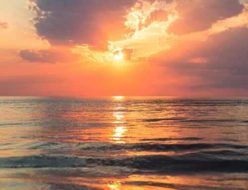 LIFE Newsletter May 2025
